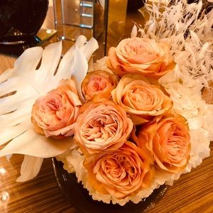 Meet your Posher, Stephanie